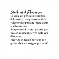 Collana Elecicale Gioielli Donna in Argento Zircone ELECIACALE-VIOLA - ELECIACALE-VIOLA